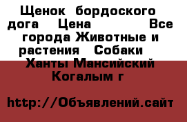 Щенок  бордоского  дога. › Цена ­ 60 000 - Все города Животные и растения » Собаки   . Ханты-Мансийский,Когалым г.